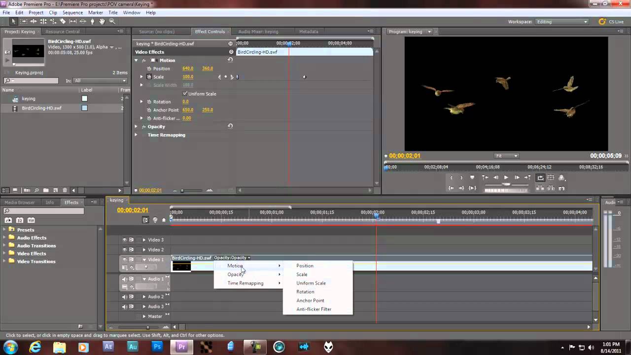 adobe after effects cs5.5